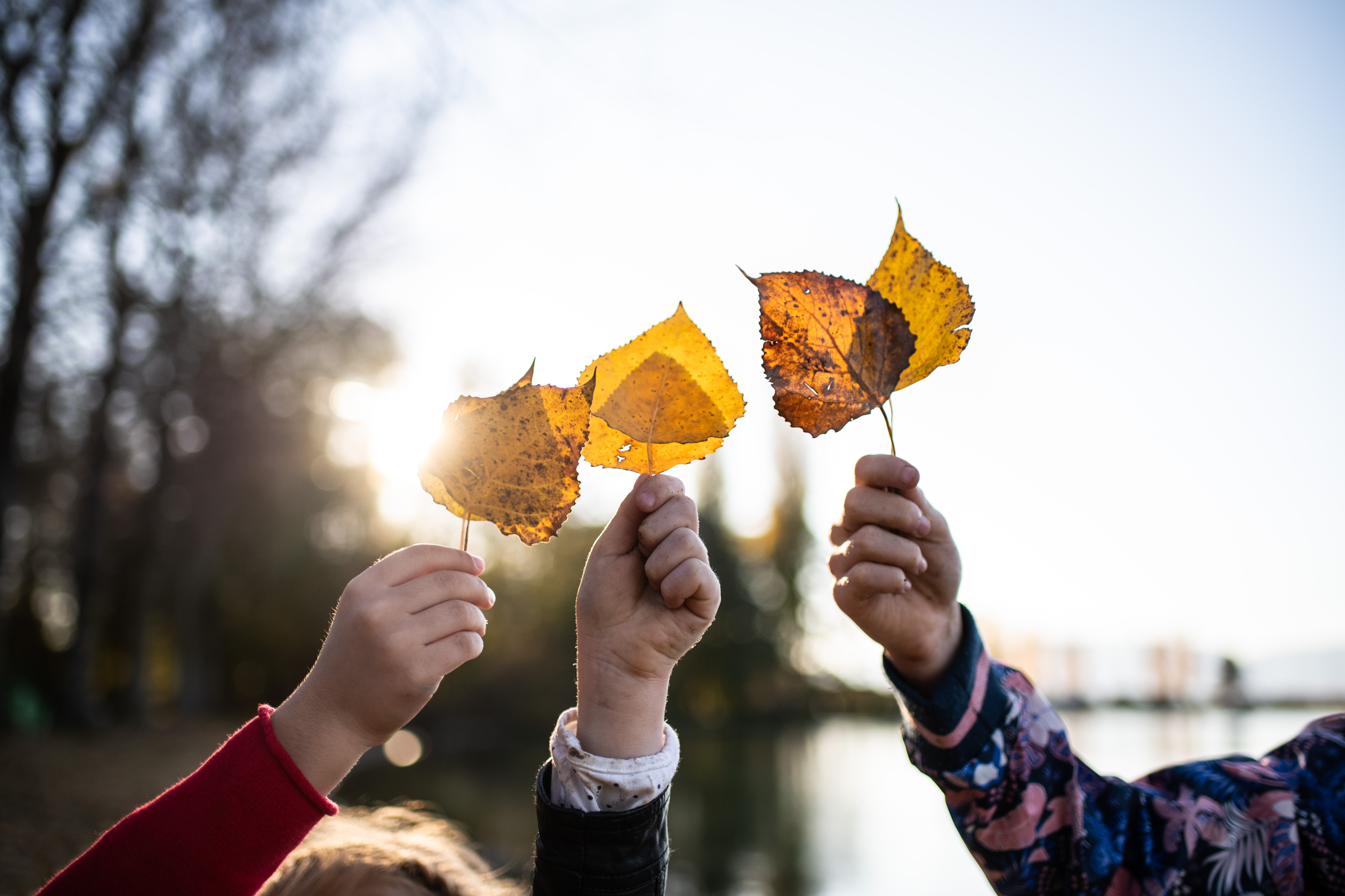 enfants tenant une feuille